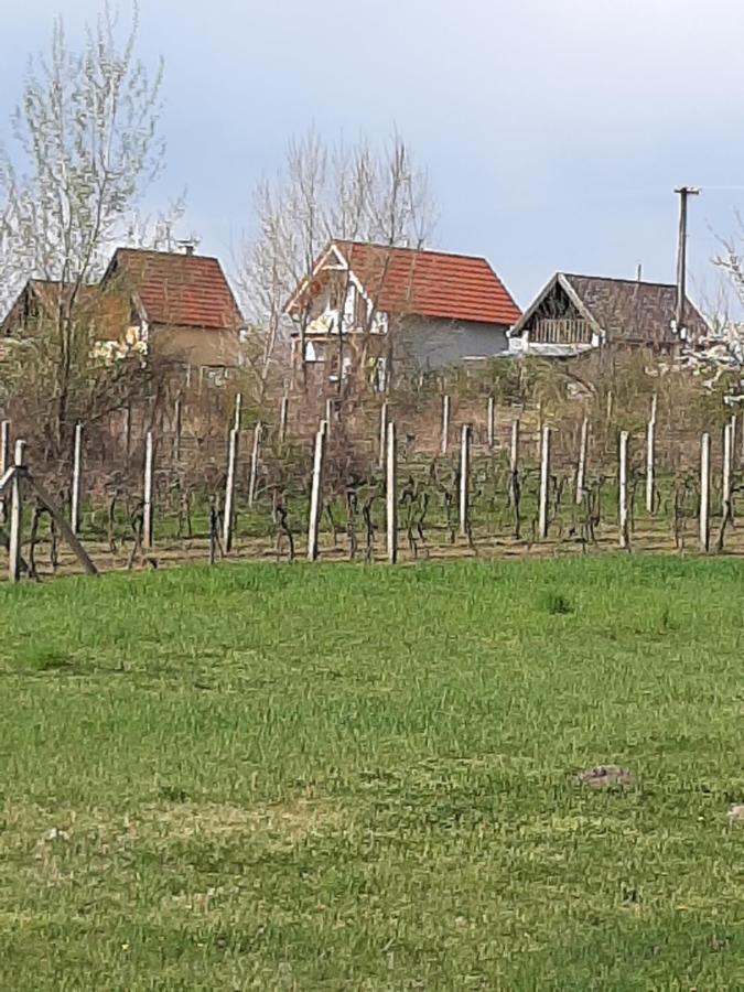 Grapeline Guesthouse Chotin Екстериор снимка