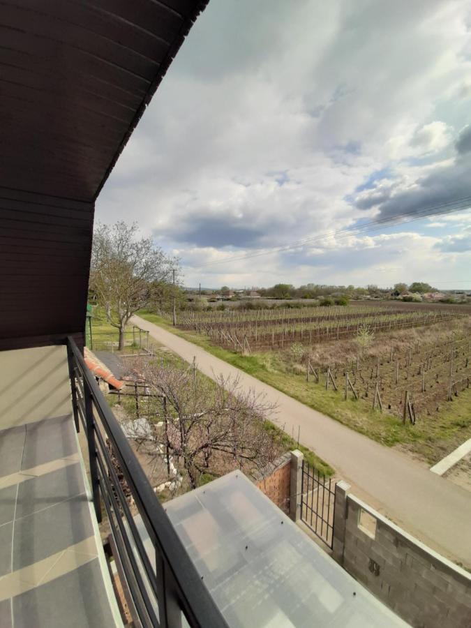 Grapeline Guesthouse Chotin Екстериор снимка