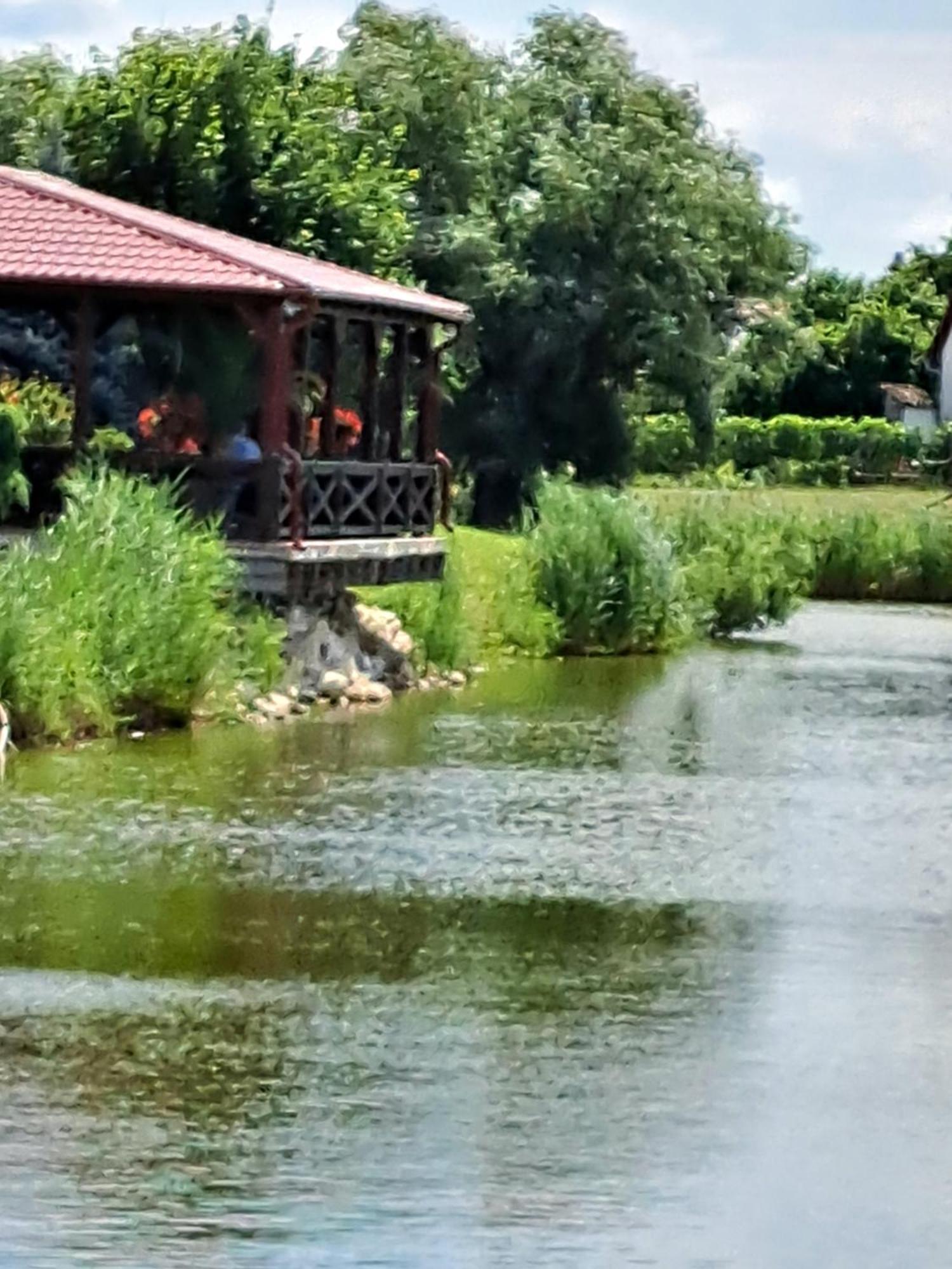 Grapeline Guesthouse Chotin Екстериор снимка